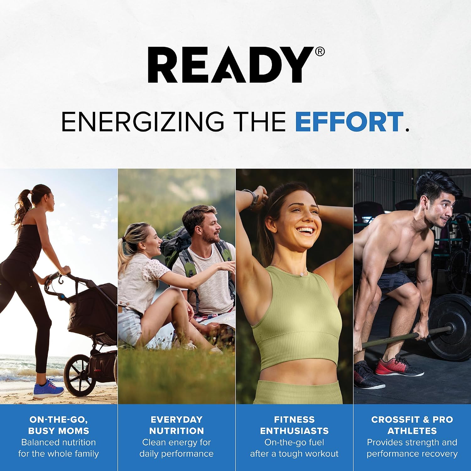 Ready Protein Bars Bundle, Chocolate Chip & Choc Peanut Butter, 24 Ct